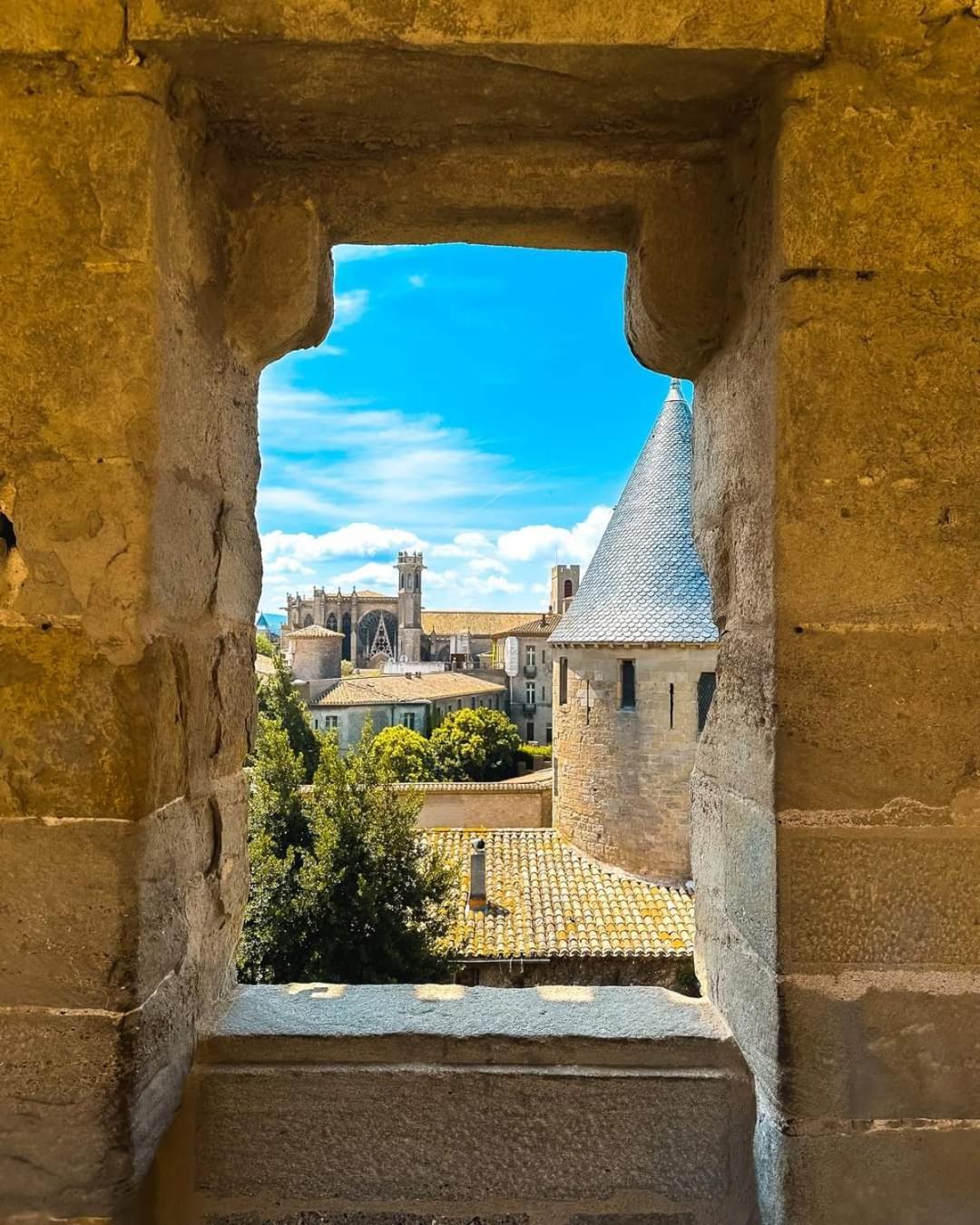 un gîte dans la cité Carcassonne Esterno foto